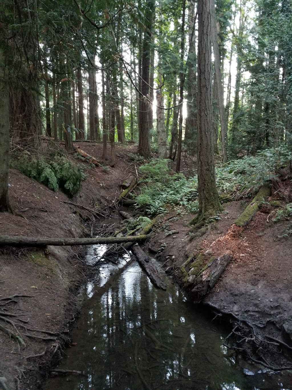 Elk / Beaver Lake Regional Park | Patricia Bay Hwy, Victoria, BC V8Y 2T6, Canada