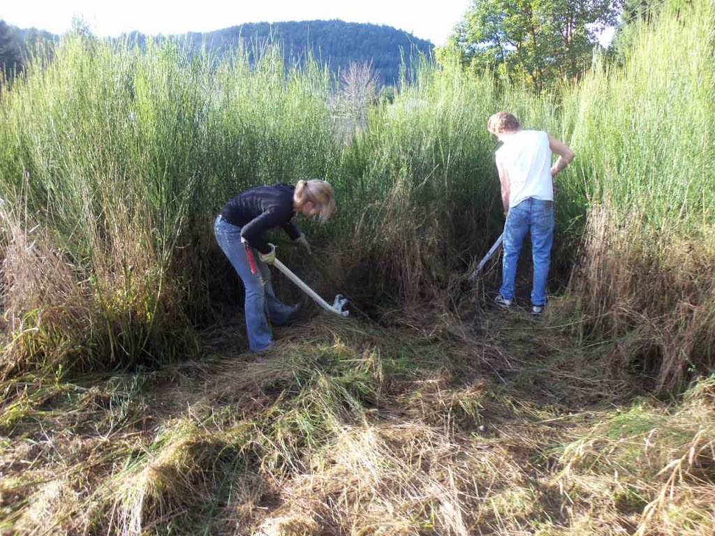 Pullerbear Tree and Invasive Weed Puller | 2913 Allenby Rd, Duncan, BC V9L 6V3, Canada | Phone: (877) 943-3607