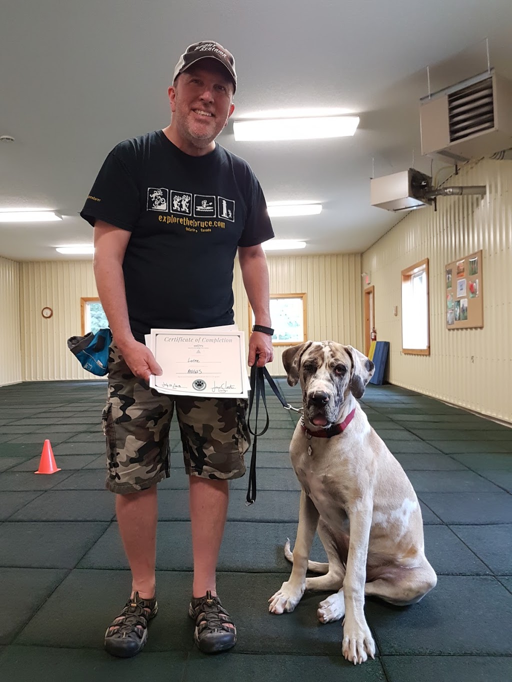 Shute Balanced Dog Training | 4424 Victoria Road South R.R. #1, Suite 3, Puslinch, ON N0B 2J0, Canada | Phone: (519) 763-4608