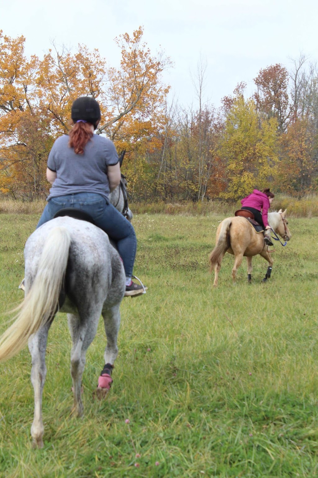 Reindance Equestrian Centre | 5506 Blind Line, Burlington, ON L7P 0B2, Canada | Phone: (905) 330-1190