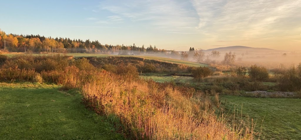 Fundy Coast Farm | 6200 NB-114, Beaver Brook, NB E4H 2R2, Canada | Phone: (506) 380-0912