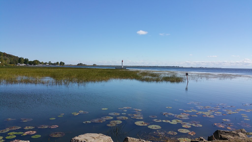 Ankney Pond | 1M0, Port Rowan, ON, Canada