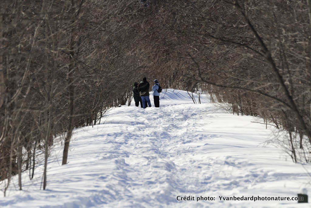 Réserve naturelle du Marais-Léon-Provancher | 151 Rue des Îlets, Neuville, QC G0A 2R0, Canada | Phone: (418) 554-8636