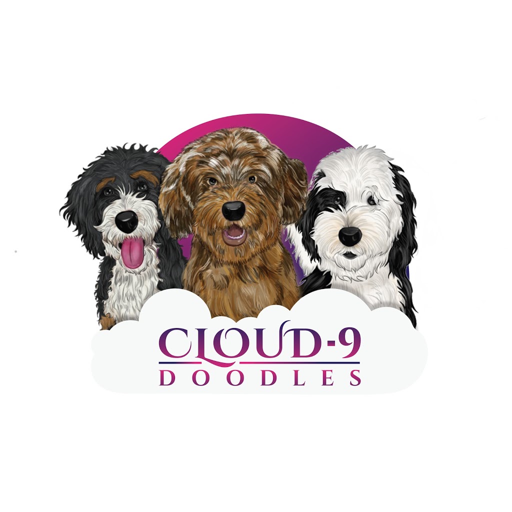 Cloud 9 Doodles | Box 285, Rockyford, AB T0J 2R0, Canada | Phone: (403) 499-8374