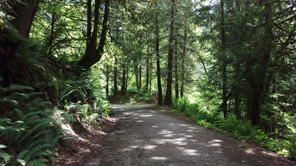 Clayburn Creek Trail | 4330 Blauson Blvd, Abbotsford, BC V3G 3C5, Canada