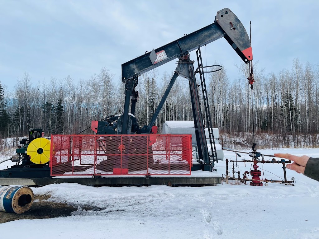 WIZE Oilfield Services | 42 Legacy Grove SE, Calgary, AB T2X 2E3, Canada | Phone: (780) 518-9493