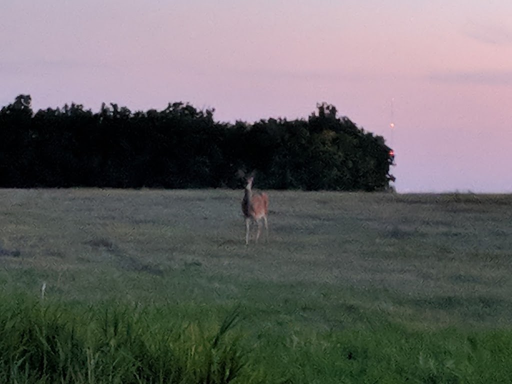 Beaudry Provincial Park | MB-241, Springstein, MB R0G 2N0, Canada | Phone: (800) 214-6497