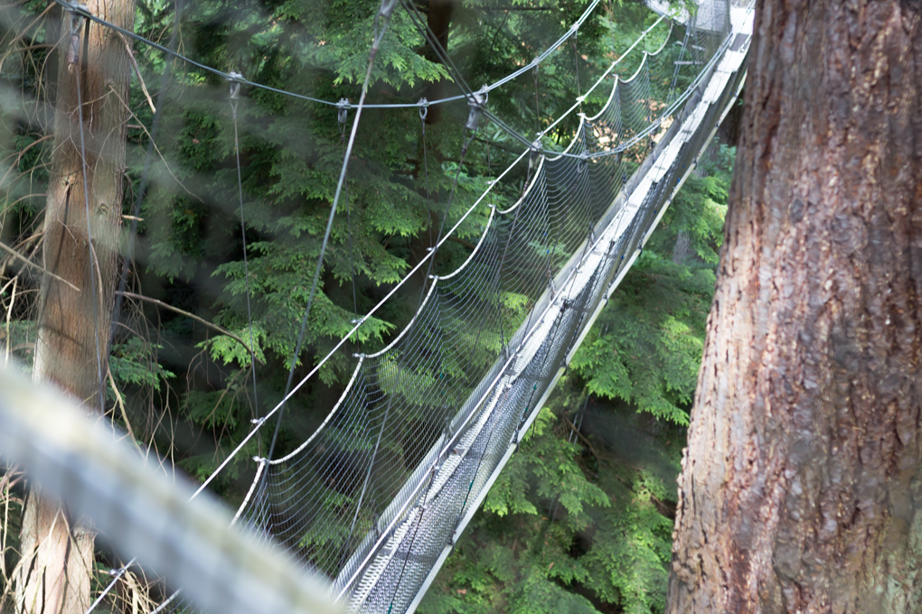 Greenheart TreeWalk | 6804 SW Marine Dr, Vancouver, BC V6T 1Z1, Canada | Phone: (604) 822-3928