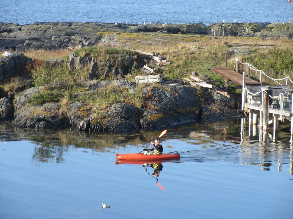 Seaweed Tours Lunenburg N.S. | 60 Bluenose Dr, Lunenburg, NS B0J 2C0, Canada | Phone: (902) 529-1052