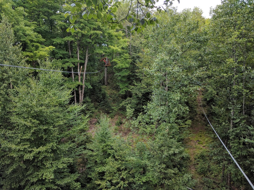 Treetop Trekking Huntsville | 1180 ON-60, Huntsville, ON P1H 1A9, Canada | Phone: (855) 788-9009