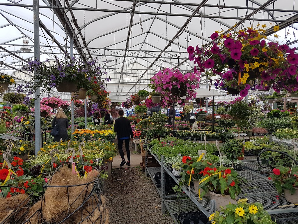 Islington Nurseries Ltd. | 1000 Islington Ave, Etobicoke, ON M8Z 4P8, Canada | Phone: (416) 503-3339