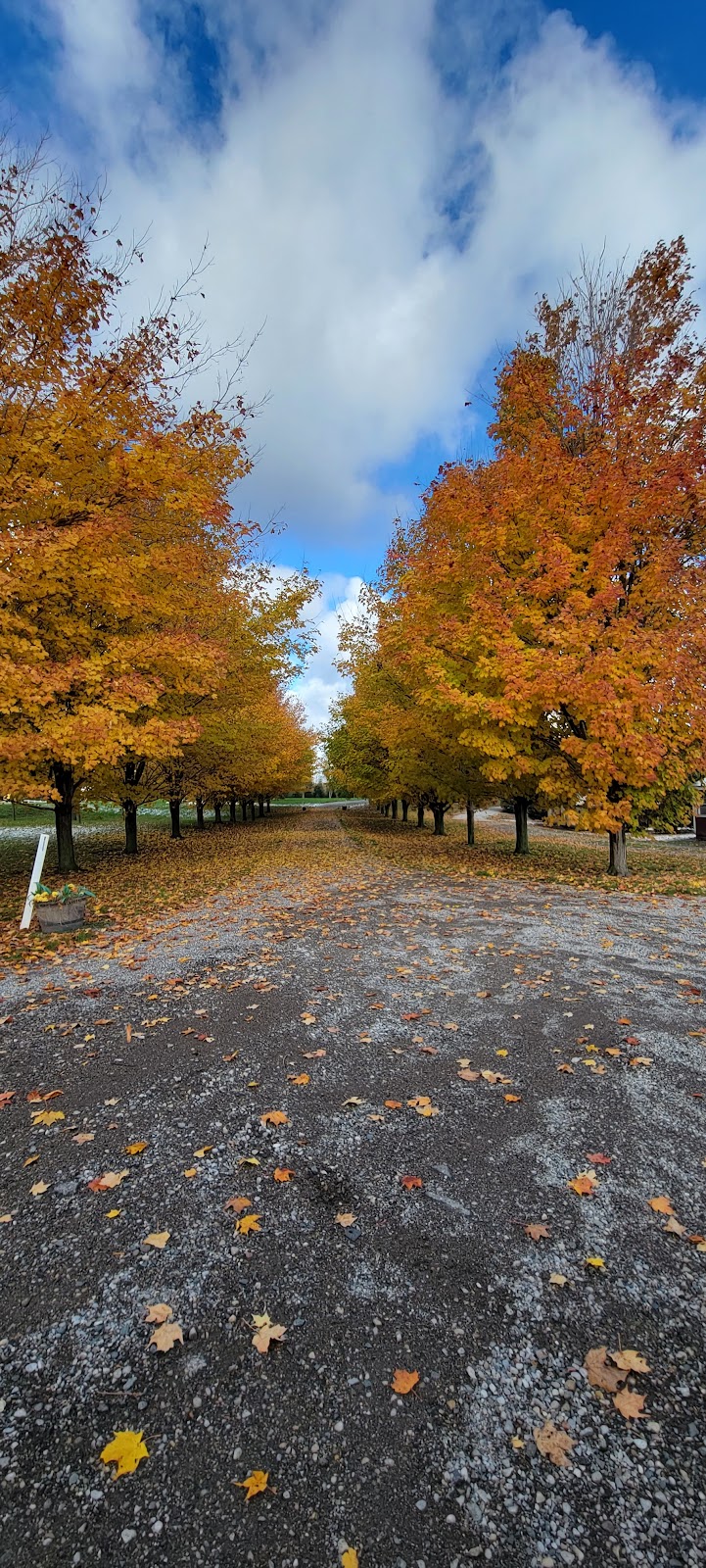 Elzeini Farm | 3810 Elgin Rd, Thames Centre, ON N0L 1V0, Canada | Phone: (519) 281-7601