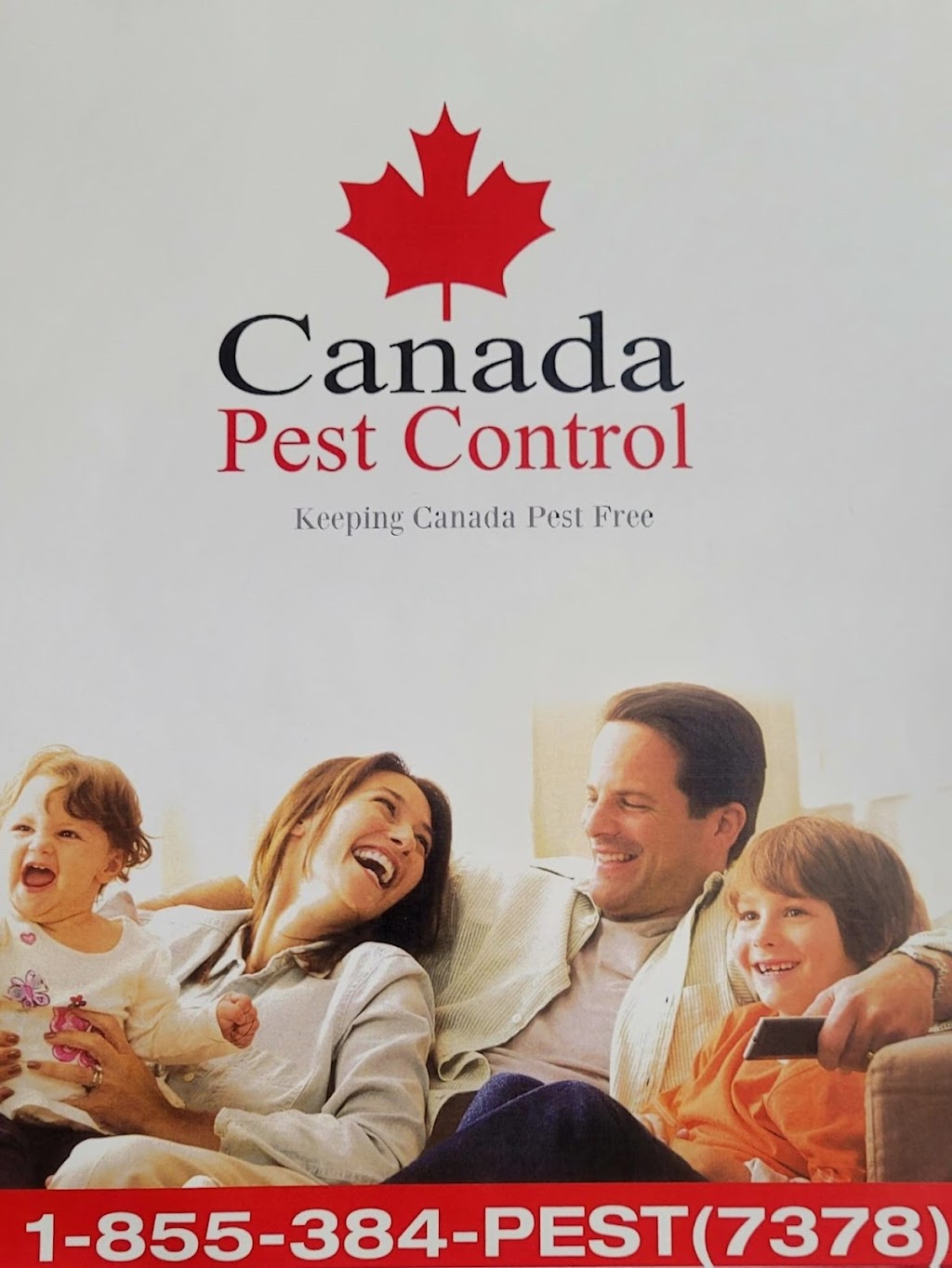 Canada Pest Control | Tinsmith St, Brampton, ON L7A 1N3, Canada | Phone: (416) 565-0505