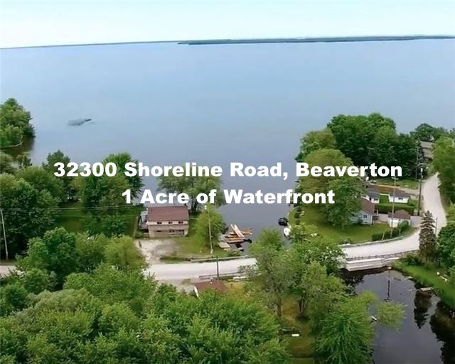 Sutton Group Solutions Realty | 20865 Dalton Rd #8, Sutton, ON L0E 1R0, Canada | Phone: (905) 722-9770