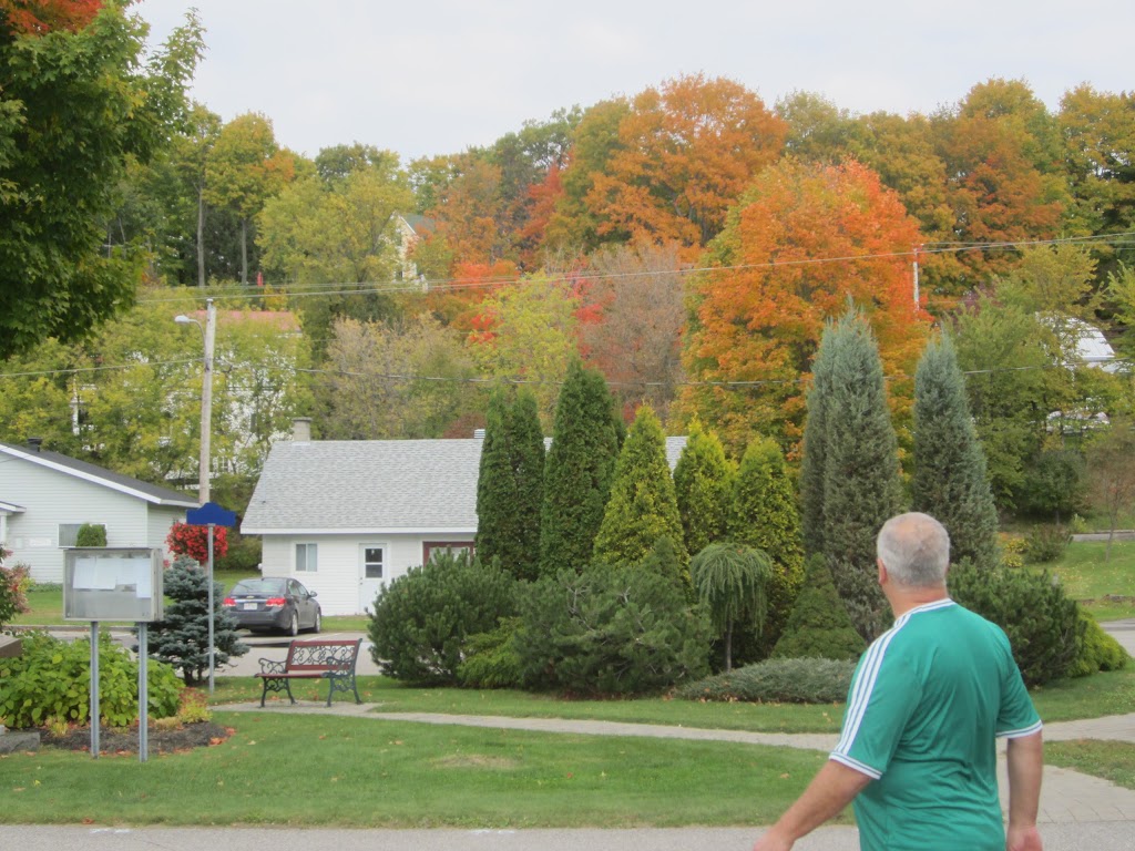 Ville de Cap-Santé | 194 QC-138, Cap-Santé, QC G0A 1L0, Canada | Phone: (418) 285-1207