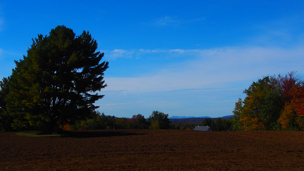 Ferme Badger | 58 Chem. Bailey, Bolton-Ouest, QC J0E 2T0, Canada | Phone: (450) 405-7738