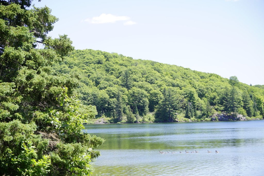 Breton Beach | Chemin du Lac-Philippe, La Pêche, QC J0X 2W0, Canada