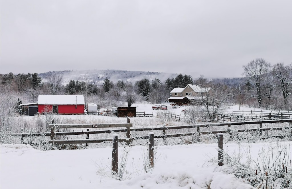 Centre de la Petite Enfance LUnivers Des Bambinos | 1955 Chem. de la Montagne, Luskville, QC J0X 2G0, Canada | Phone: (819) 455-9697