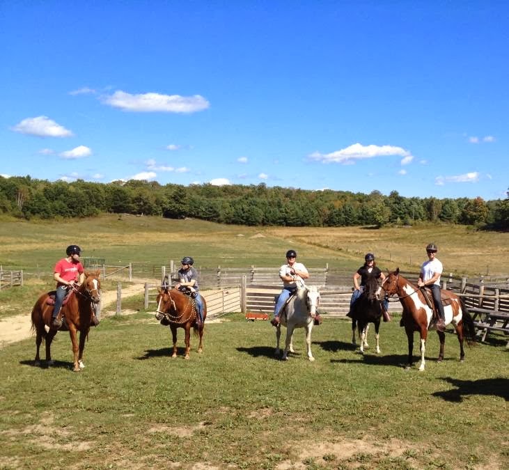 Winding Fences Farm | 1102 Ambleside Ln, Utterson, ON P0B 1M0, Canada | Phone: (705) 769-1418