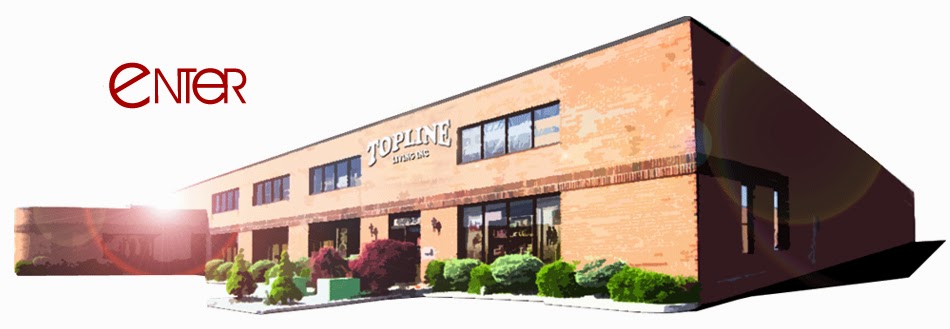 Topline Living Inc | 6895 Pacific Cir, Mississauga, ON L5T 2H3, Canada | Phone: (905) 670-5831