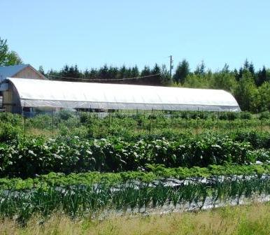 Ferme La Chouette Lapone | de, 10 Rte de la Tortue, Proulxville, QC G0X 2B0, Canada | Phone: (418) 365-0366