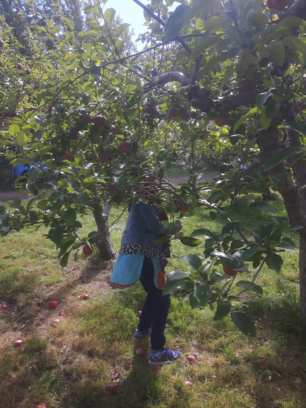 Applevale Orchards | 5144 Derry Rd, Burlington, ON L7M 0R6, Canada | Phone: (647) 988-1753