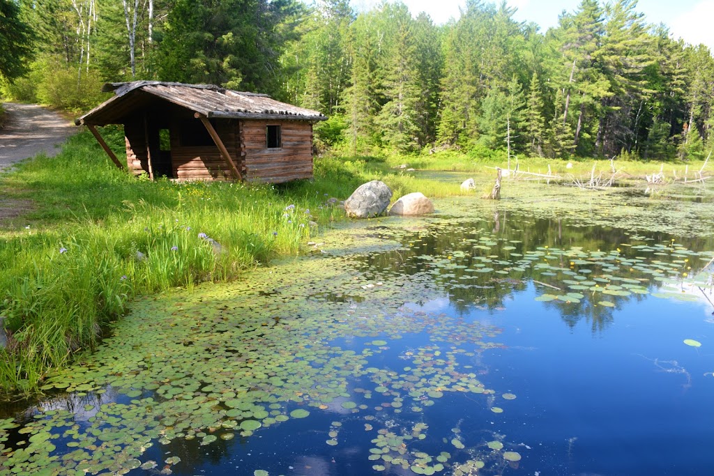 Temagami Fire Tower | 112 Jack Guppy Way, Temagami, ON P0H 2H0, Canada | Phone: (705) 569-3808