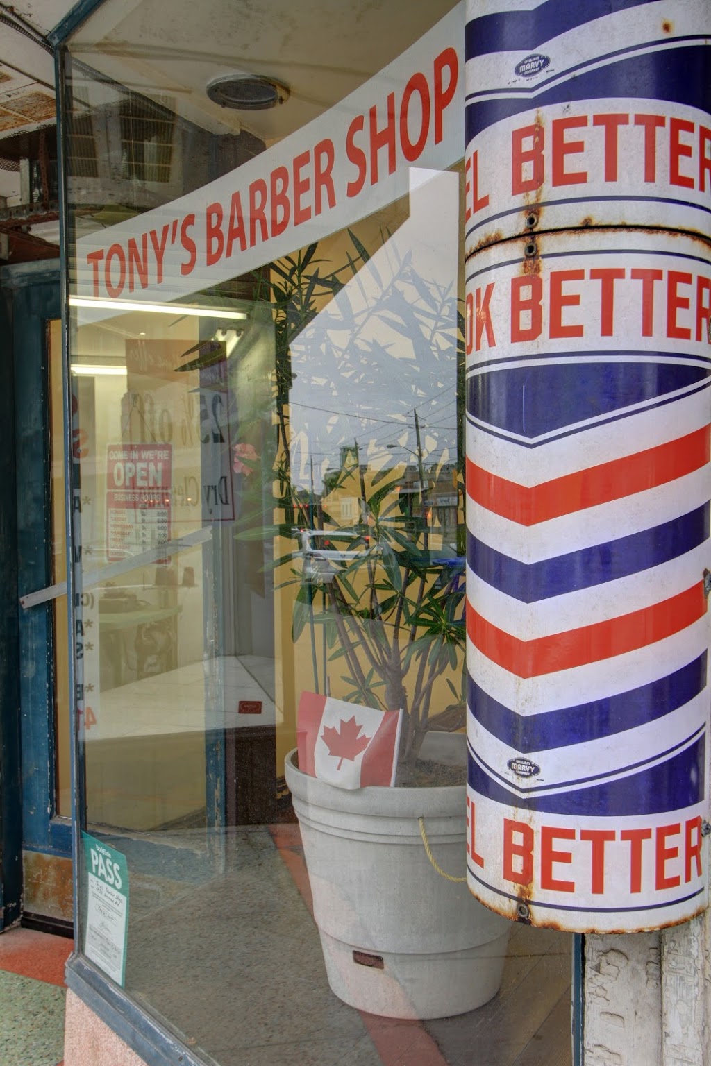 Tonys Barber Shop | 1730 Avenue Rd, North York, ON M5M 3Y6, Canada | Phone: (416) 789-9655