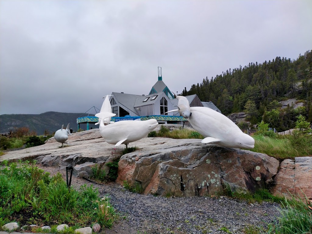 Tadoussac Autrement - Kayak de mer | 145 Rue du Bord de lEau, Tadoussac, QC G0T 2A0, Canada | Phone: (418) 355-4305