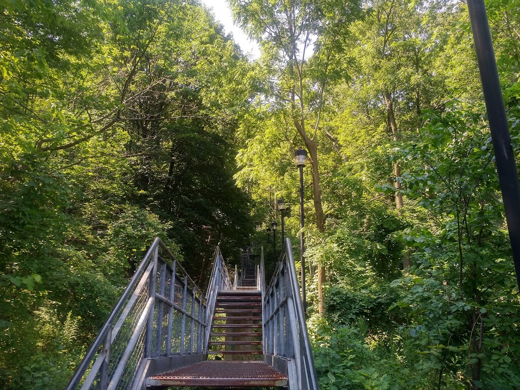 Dundurn Stairs | 2X3, Dundurn Stairs, Hamilton, ON L8P 2X3, Canada