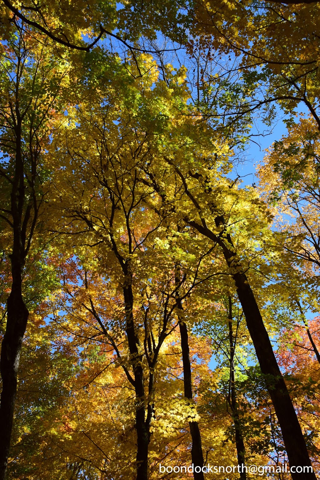 Viamede Disc Golf Course | 595 Mt Julian Viamede Rd, Woodview, ON K0L 3E0, Canada | Phone: (705) 654-3344