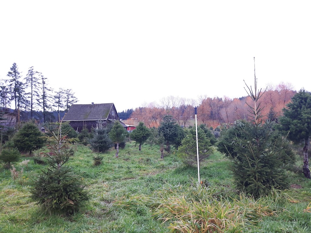 Saanichton Christmas Tree Farm | 8231 E Saanich Rd, Saanichton, BC V8M 1T5, Canada | Phone: (250) 652-3345