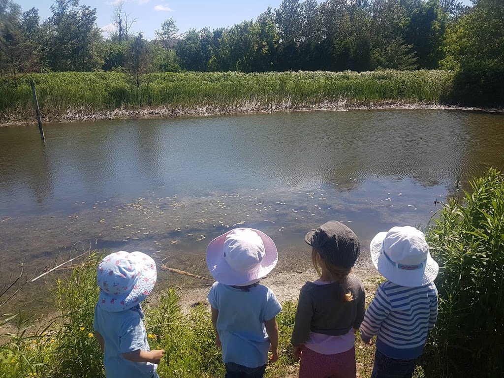 Hands in the Earth Preschool | 132 Stone Rd, Aurora, ON L4G 6Y1, Canada | Phone: (647) 637-6724