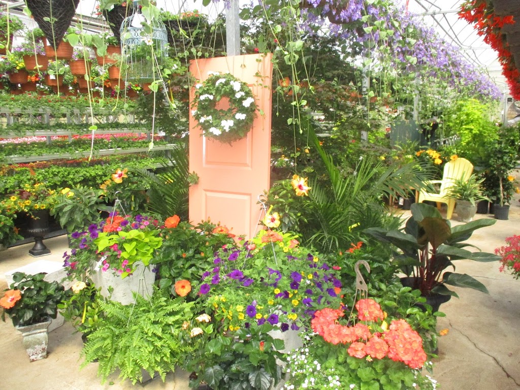 Riverside Greenhouses | 727266 Sideroad 22C, Heathcote, ON N0H 1N0, Canada | Phone: (519) 599-3533