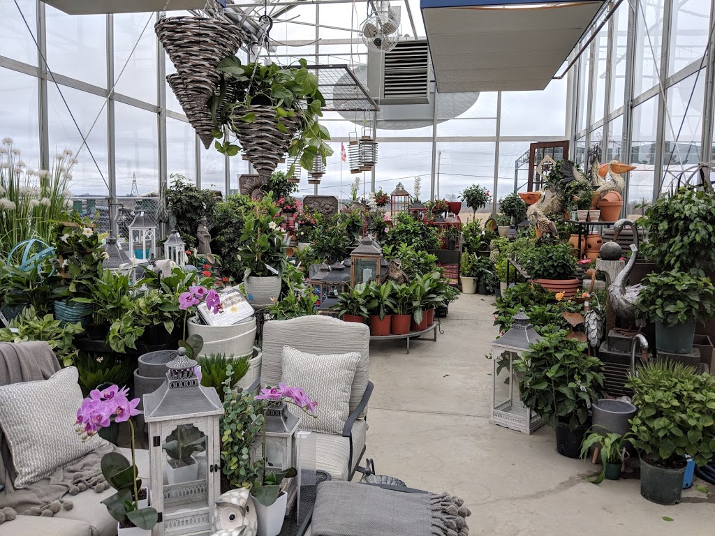 Royal City Nursery | 6838 Wellington Rd 124, Guelph, ON N1H 6J4, Canada | Phone: (519) 824-4998