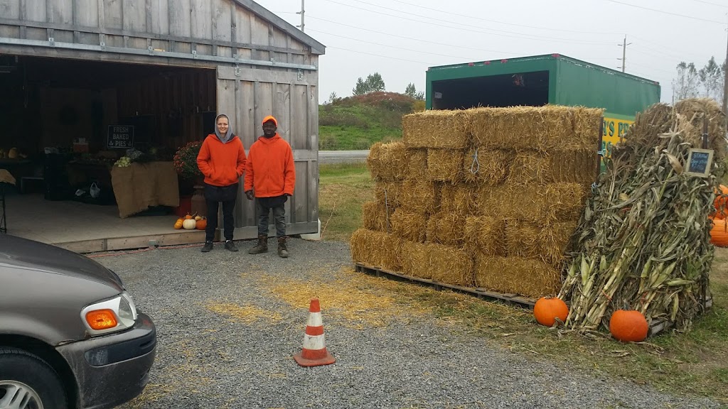 Foster Family Farm - Cedarview Road Farm Stand | 333 Cedarview Rd, Nepean, ON K2H 7Y8, Canada | Phone: (613) 851-3903