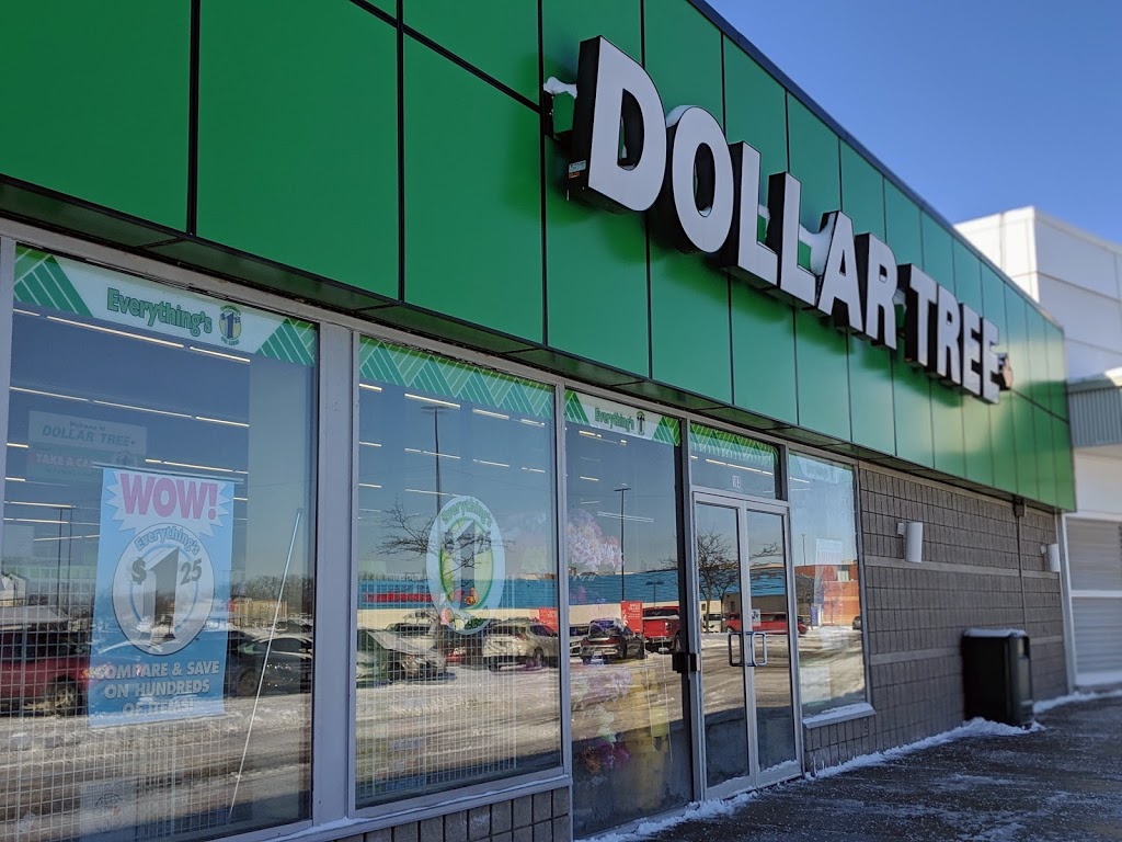 Dollar Tree | 180 Holiday Inn Dr, Cambridge, ON N3C 1Z4, Canada | Phone: (519) 260-0382