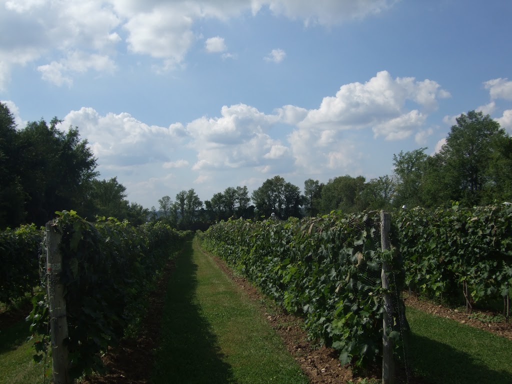 Vignoble Émile-Auguste | 60 Mnt Guay, Saint-Bernard-de-Lacolle, QC J0J 1V0, Canada | Phone: (450) 524-3649