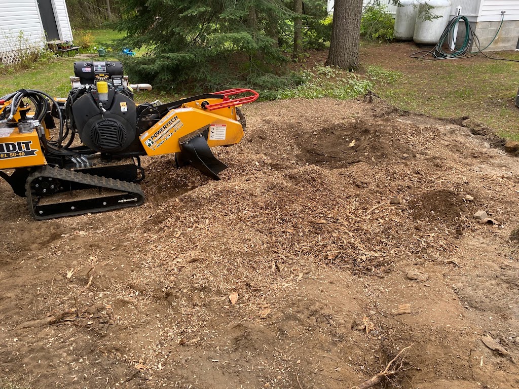 Stumpin’ Tom’s Stump Grinding | 1012 Wonderland Rd, Haliburton, ON K0M 1S0, Canada | Phone: (705) 455-2838