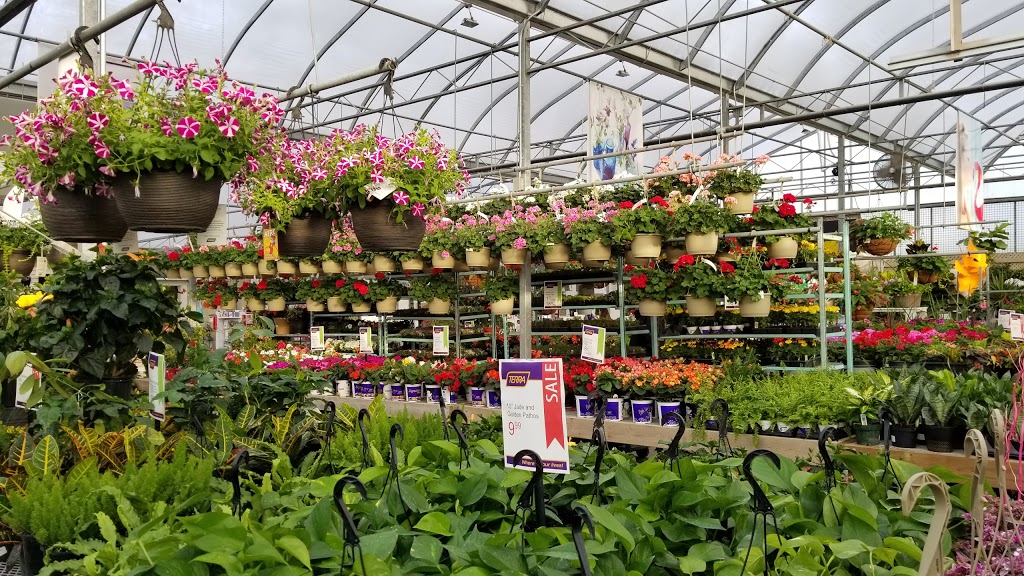 Terra Greenhouses Vaughan | 11800 Keele St, Maple, ON L6A 1S1, Canada | Phone: (905) 832-6955