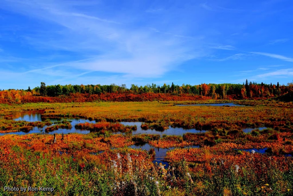 Elk Island National Park | E, 4J0, AB-16, Tofield, AB T0B 4J0, Canada