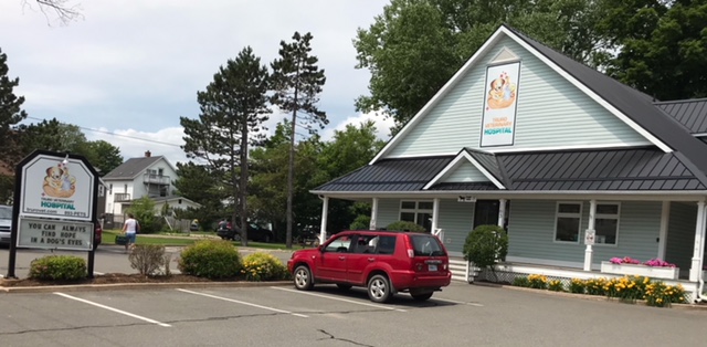 Truro Veterinary Hospital | 165 Arthur St, Truro, NS B2N 1Y3, Canada | Phone: (902) 893-2341