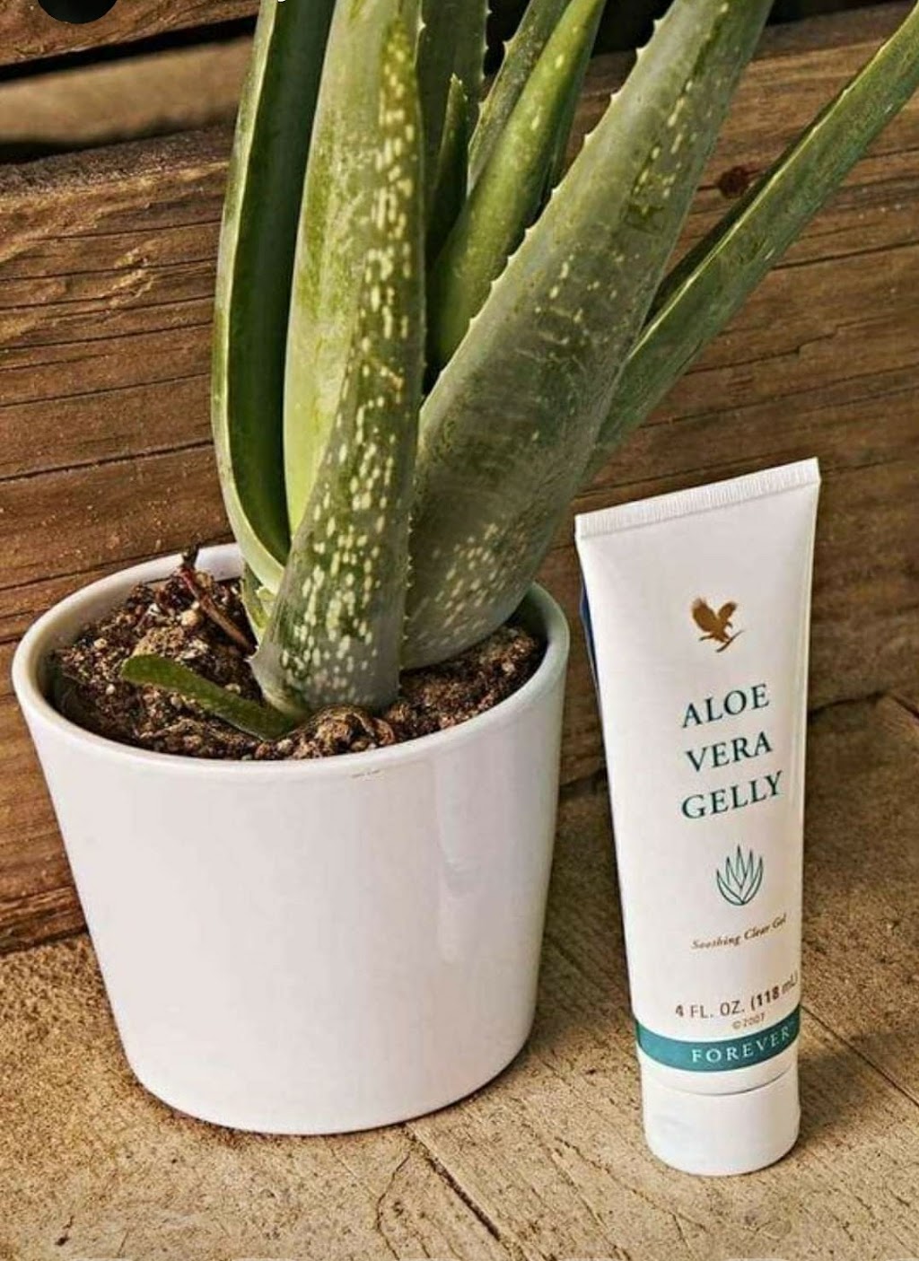 Aloe Vera by Forever | 3126 Trailside Dr, Oakville, ON L6M 0P6, Canada | Phone: (647) 219-2114