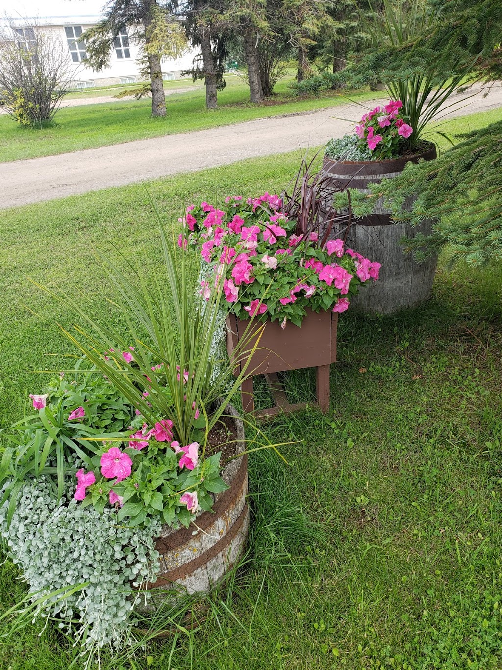 Maplewood Acres Greenhouse | 1 Avenue, Camrose County No. 22, AB T0B 0G0, Canada