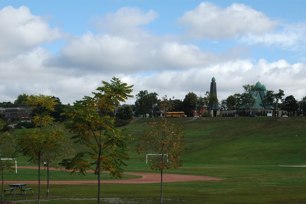 Sam Pollock Baseball Diamond | 375 Sumach St, Toronto, ON M4X 1V4, Canada | Phone: (416) 392-2489