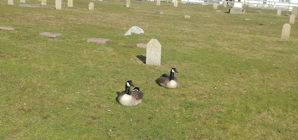 Chinese Cemetery | 2026 Penzance Rd, Victoria, BC V8S 2H5, Canada