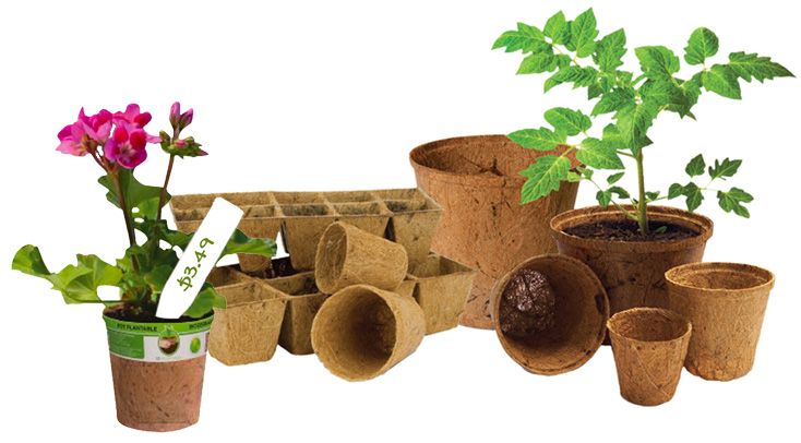 PlantBest, Inc. | 170 Duffield Dr #100, Markham, ON L6G 1B5, Canada | Phone: (905) 470-0724