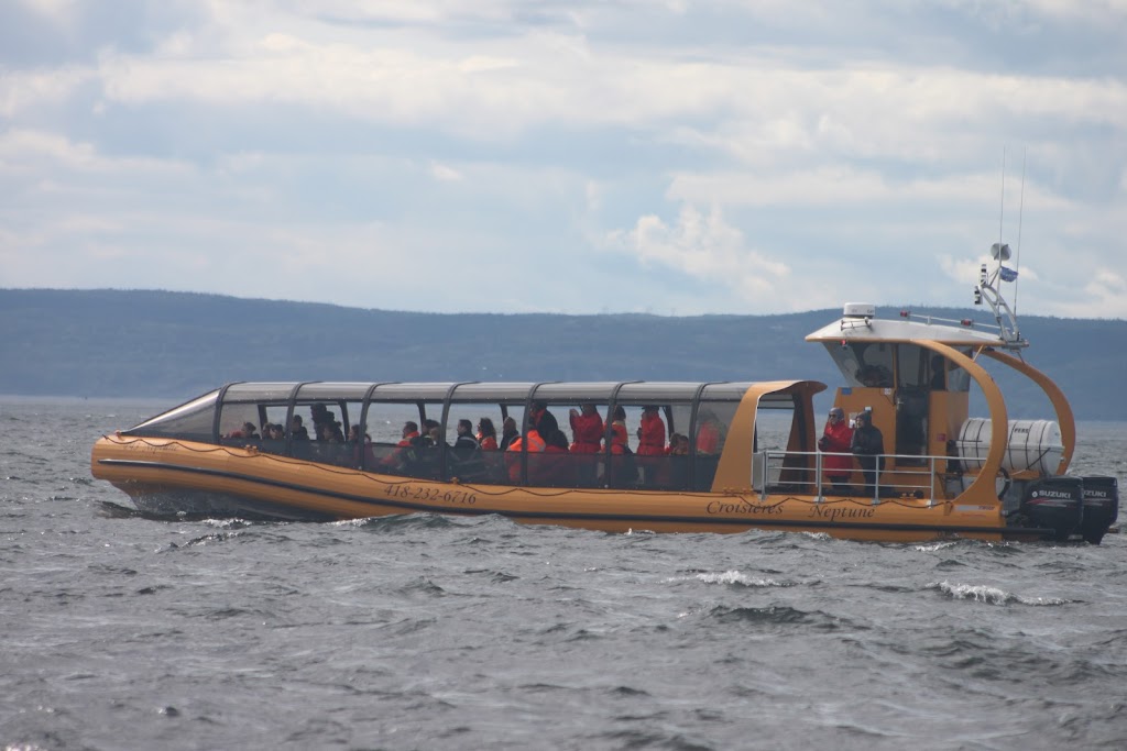 Croisières Baleines Neptune Bergeronnes | 507 Rue du Boisé, Grandes-Bergeronnes, QC G0T 1G0, Canada | Phone: (418) 232-6716