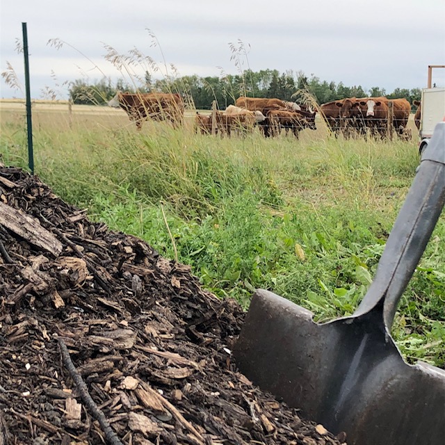 Compost Corner | 1200 Pine St, Prince Albert, SK S6V 5V8, Canada | Phone: (306) 960-5225