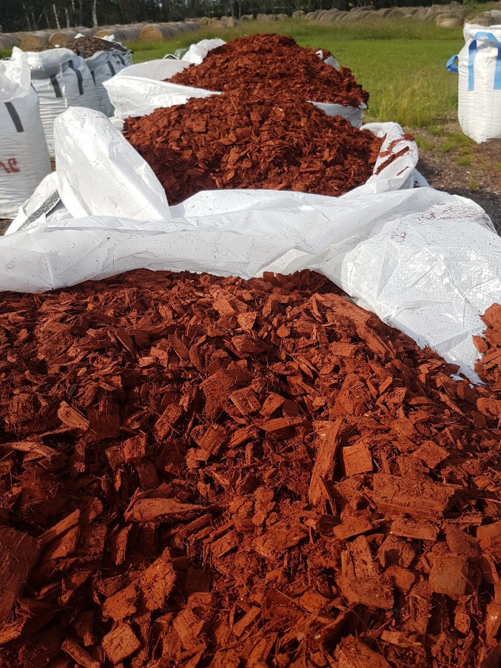 Mulch People | Near Range Rr 201, Stettler, AB T0C 2L0, Canada | Phone: (403) 740-3610